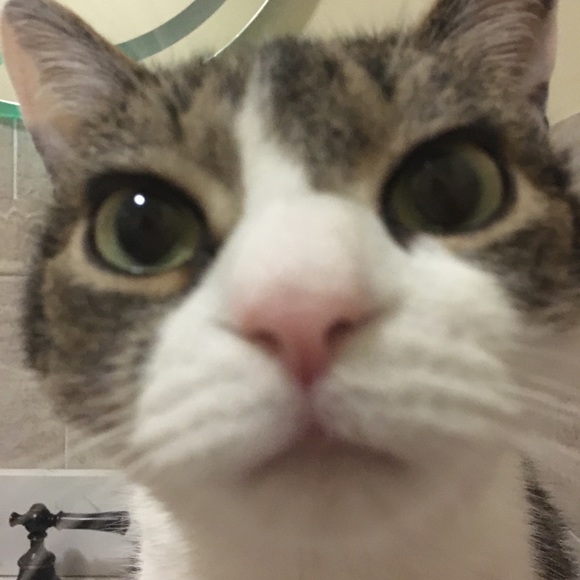 Profile Picture of Julia Albanese (@yhooolia) on Poshmark