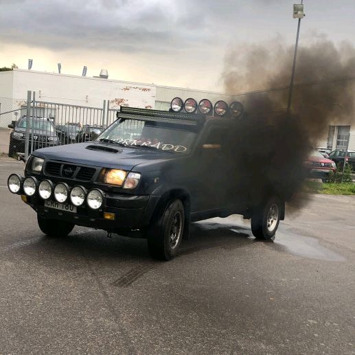 Profile Picture of David (@david_dippen) on Tiktok