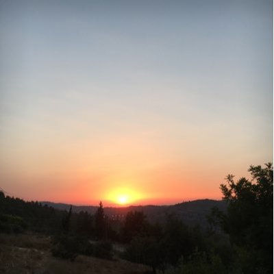 Profile Picture of Abby Pescovitz (@pesky_shs_smm) on Twitter