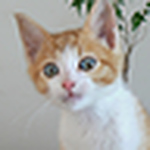 Profile Picture of Gail Duncan (@frodoflickr) on Flickr