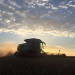 Profile Picture of George Ponsonby (@ponsonby.farms) on Instagram