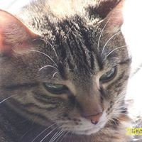 Profile Picture of Georgia Alaback (@georgia-alaback) on Quora