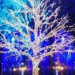 Profile Picture of Deborah Daniels (@danielspudeborah) on Instagram