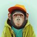 Profile Picture of Simon Van Loock (@simonvanloock2004) on Pinterest