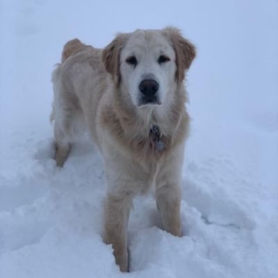 Mike Smoker - Twitter Profile Picture of Mike Smoker (@smoker_smoker4) on Twitter