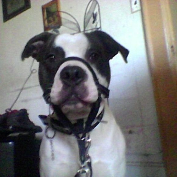 Profile Picture of Jeneen Norman (@jeneenorman) on Poshmark