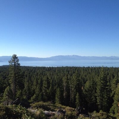 Profile Picture of Dominic Circo (@DomCirco) on Twitter