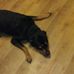 Profile Picture of Doug Creger (@doug.creger.5) on Facebook