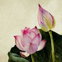 Profile Picture of Ngoc Huyen (@ngoc-huyen-12) on Quora