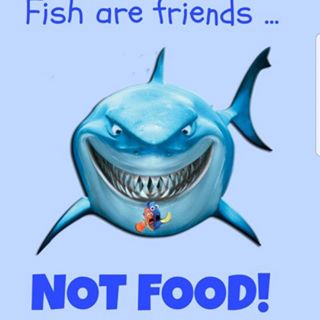 Profile Picture of Joshua Thoennes (@Joshua-Thoennes) on Facebook