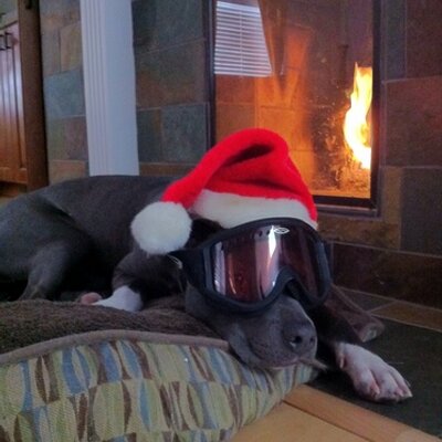 Profile Picture of Josh Beyer (@joshbeyer04) on Twitter