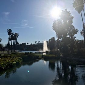 Profile Picture of Erika Cappaert (@edaysleeper) on Pinterest