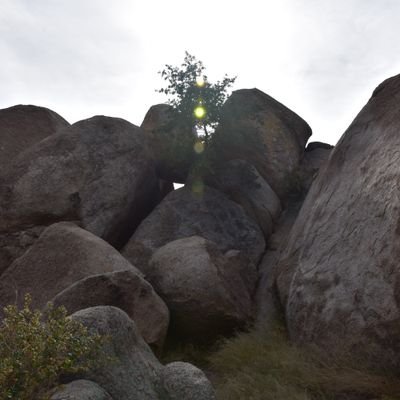 Profile Picture of Brandon (@BrandonPerrin7) on Twitter