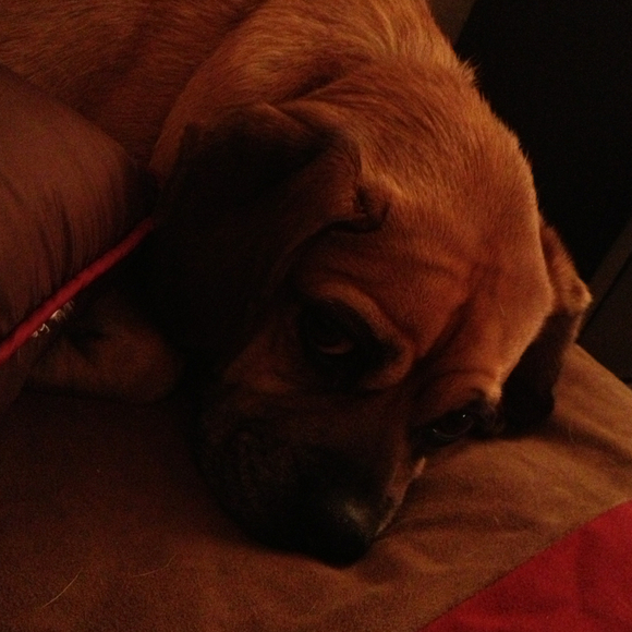 Profile Picture of Christine Dacanay (@christald) on Poshmark