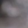 Profile Picture of lisa Pronk (@lisapronk) on Tiktok
