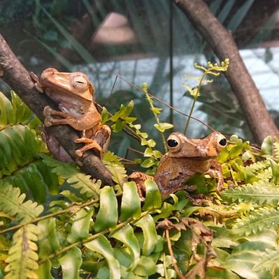 Profile Picture of Joanna Pyle (@joannapyle) on Twitter