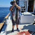 Steve Elkins - Instagram Profile Picture of Steve Elkins (@selkins36) on Instagram