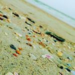 Profile Picture of Stuart Schwartz (@stuart_schwartzy) on Instagram