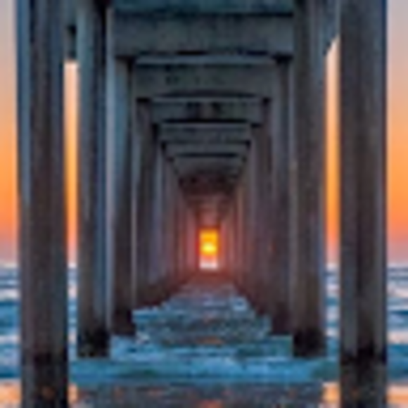 Profile Picture of Denise Deickmann (@doxie1109) on Poshmark