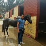 Profile Picture of Chris Mauser (@gianperre812) on Instagram