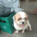Profile Picture of Cassandra Matunhay Licame (@Cassandra-Matunhay-Licame) on Facebook