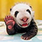 Profile Picture of Alex Popov (@Alex V Popov) on Flickr