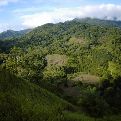 Profile Picture of Eric Dhondt (@hellsangales) on Twitter