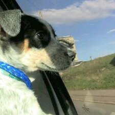 Profile Picture of Jacob Laxton (@Bacon_party227) on Twitter