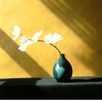 Profile Picture of sonia_r_cochrane (@sonia_r_cochrane) on Instagram