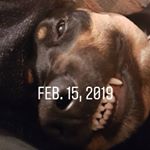 Profile Picture of Dylan daigle (@grizzinsta) on Instagram