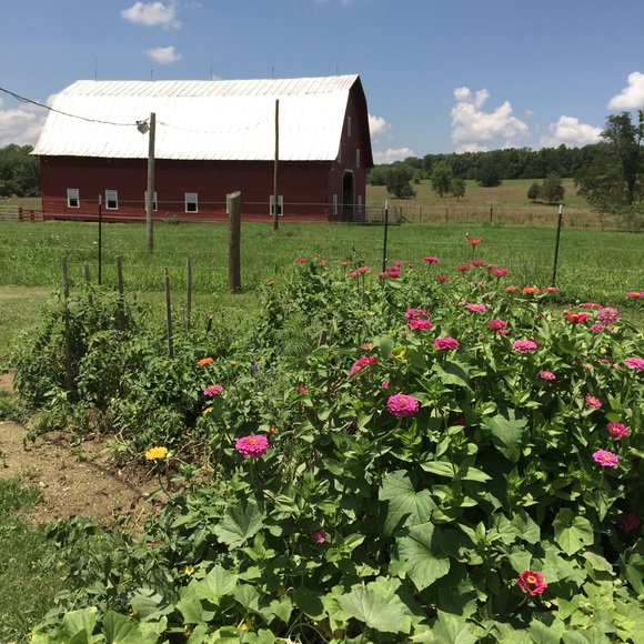 Profile Picture of Judy Forshay (@mome7) on Poshmark