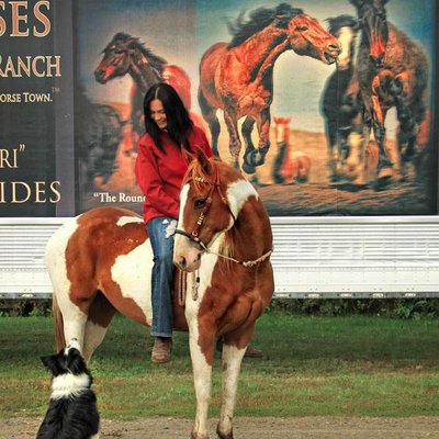 Profile Picture of Stephanie Adriana (@Stefiadriana) on Twitter