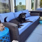 Profile Picture of Craig Hess (@craig.hess.731) on Facebook