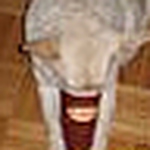 Profile Picture of cheryl mitchell (@dolliegirl) on Flickr