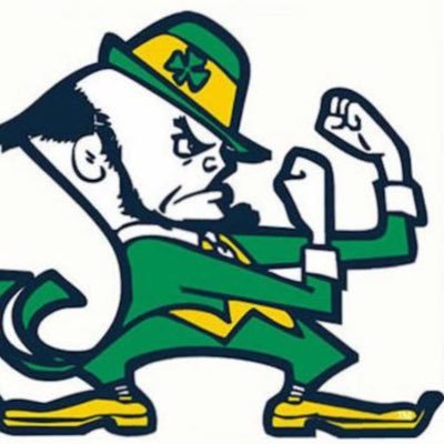 Profile Picture of Robert Boyer (@Ndirishguy2) on Twitter