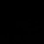 joseph.shamir - Instagram Profile Picture of joseph.shamir (@joseph.shamir) on Instagram