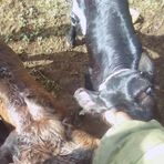 Profile Picture of Jeremy Kasoo (@Jeremy-Kasoo) on Facebook