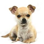 Profile Picture of dawsonschmidt (@dawsonschmidt1722) on Instagram