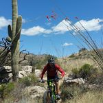 Profile Picture of Trevor Hicks (@cultivate8020) on Instagram