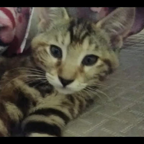 Profile Picture of Ooga Ooga (@ooga_ooga) on Poshmark