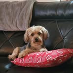 Profile Picture of Thomas Chappell (@thomas.chappell.7127) on Facebook