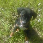 Profile Picture of chawinnie Cannon (@chawinniecannon) on Instagram