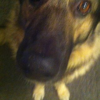 Profile Picture of Colin Bewsey (@colin.bewsey) on Facebook