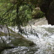 Profile Picture of Gregory Wilson (@gregorywilson7923) on Youtube