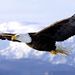 Profile Picture of LAPORTE JOSEPH FRANCK (@laportef120) on Pinterest