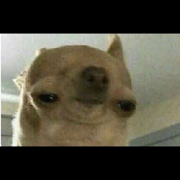 Profile Picture of Pamela Oliveras (@pamelaoliveras) on Poshmark