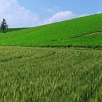 Profile Picture of AudreyForrest (@audreyforresto) on Instagram