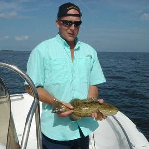 Profile Picture of Raymond GAINEY Step (@StepGainey) on Twitter