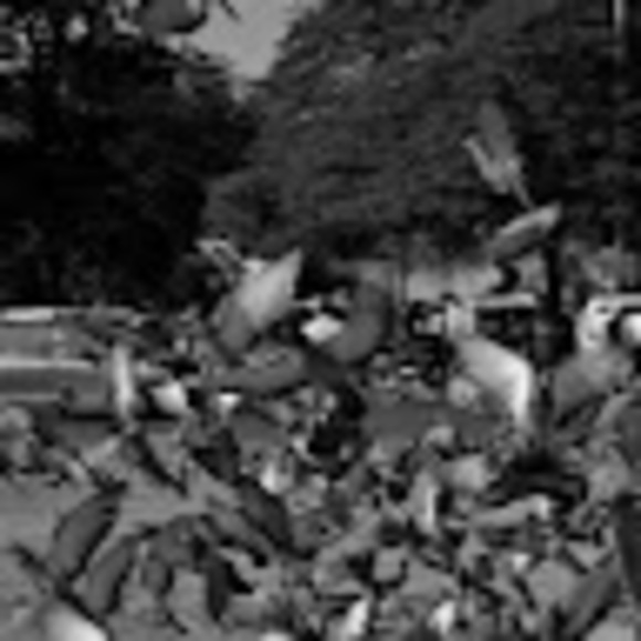 Profile Picture of Saurabh Cerejo (@saurabhcerejo34) on Poshmark