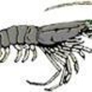 Profile Picture of Junliang Ge (@superjunliang) on Myspace